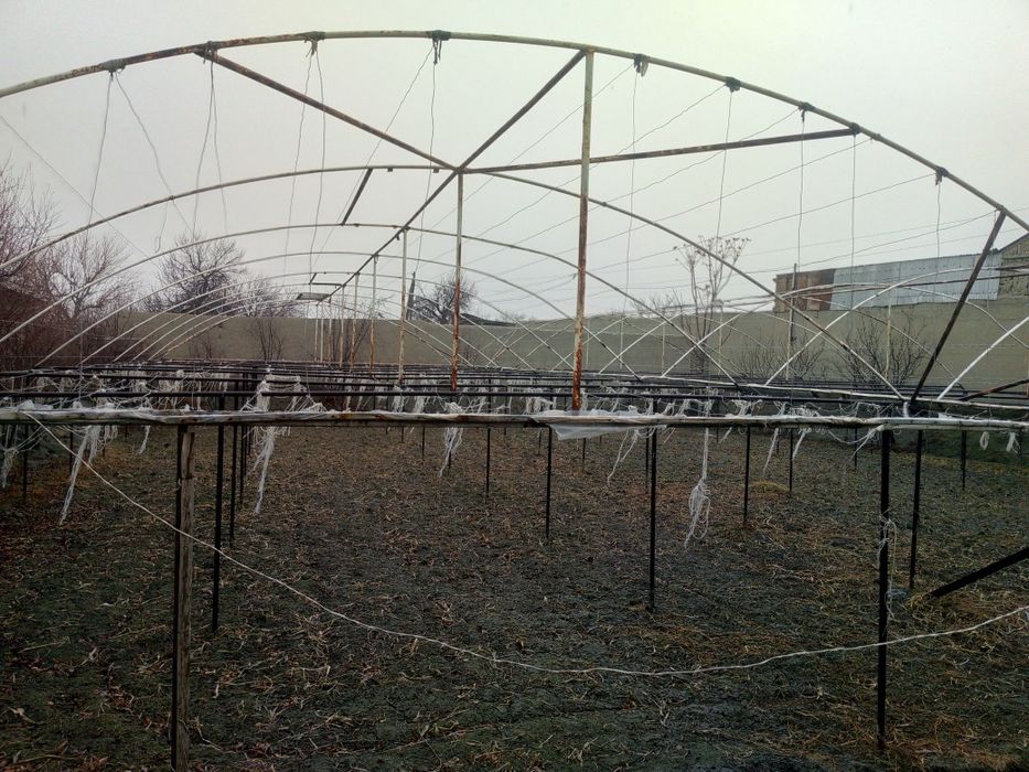 Теплиса сотилади