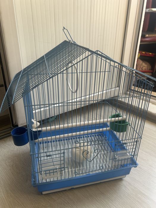 Клетка для папугая животные