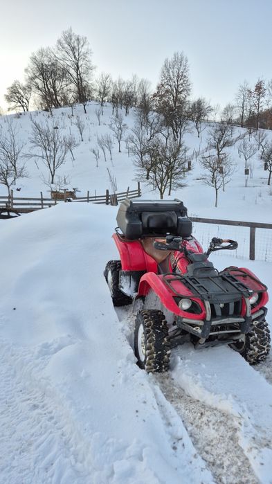Yamaha grizzly 660cc