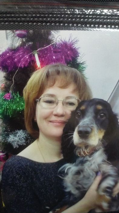 Передержка кошек