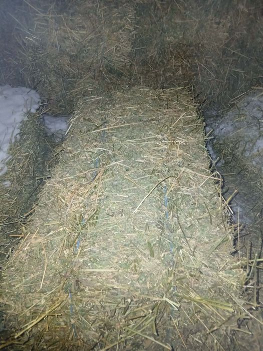 Baloți de fân și lucernă de bună calitate, de vânzare