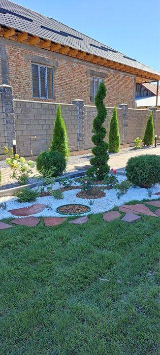 Озеленение под ключ