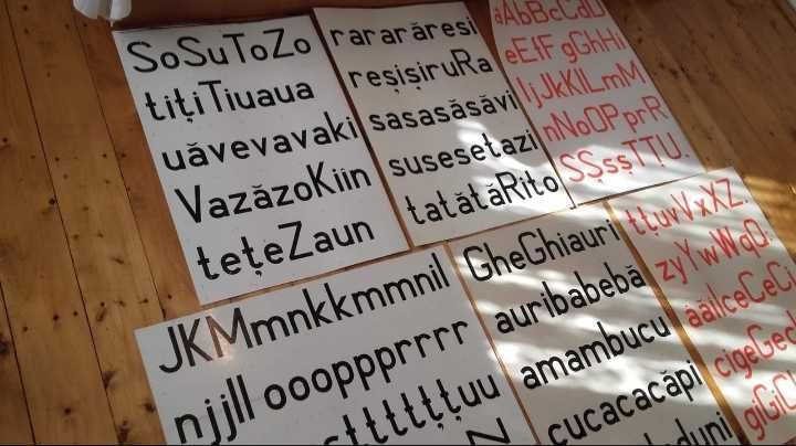 10 Plansa/e scolare didactice/scolare cu Litere,1970,plastifiate,mari