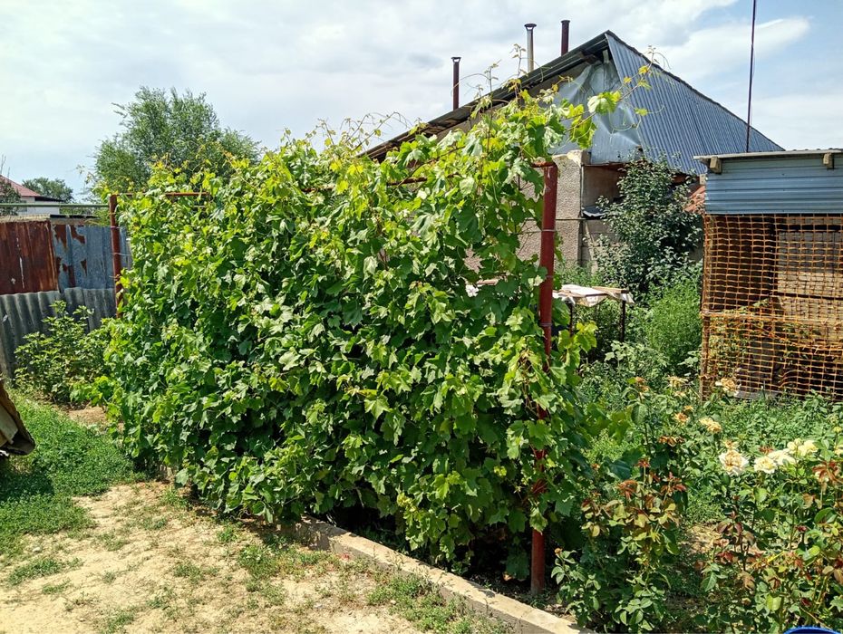 Дом Село шамалган