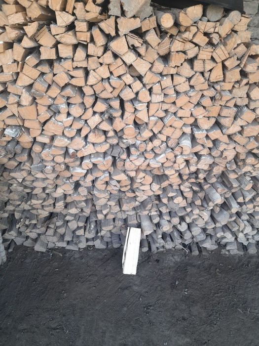 Tayyor kesilgan holatta