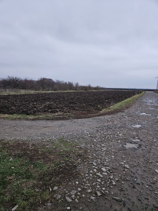 Vand parcele de teren în zona Tireamului