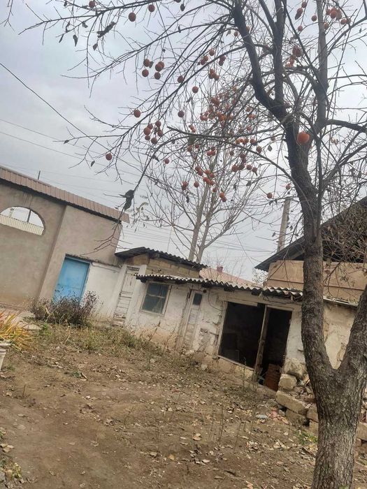 Продается СВОИ ДВА ДОМА на Одном участке!!! г. Алмалык  БЕЗ РИЭЛТОРОВ!