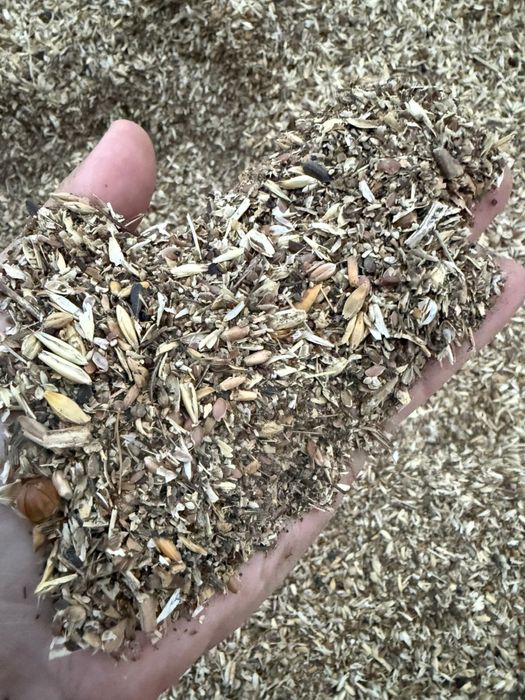 Зерноотходы молоценные 35/40 сухие в обьеме росыпью