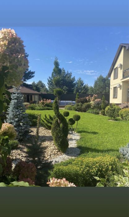 Газон Автополив.