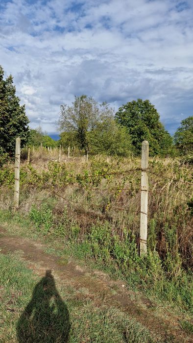 Продава се Парцел в Варна, м-т Траката - 650 кв.м за 25 €/кв.м - Снимка #1