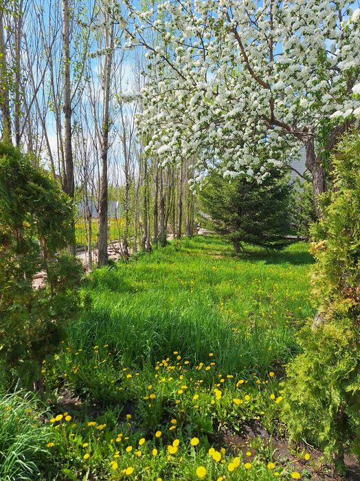 Загородный домик