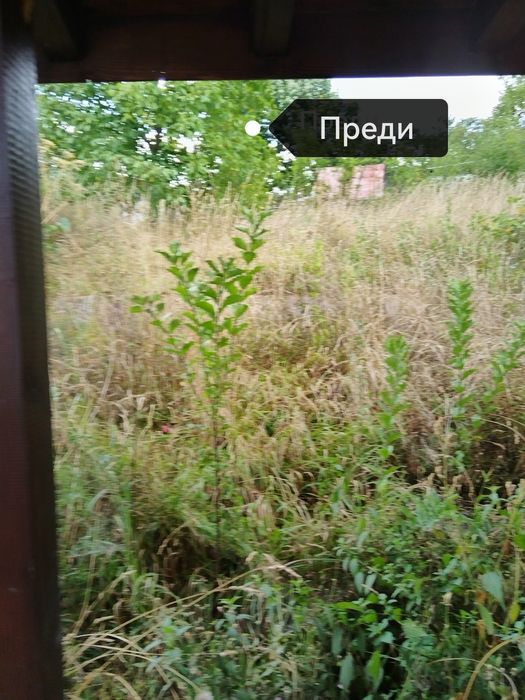 Косене на трева! Хамалски услуги!