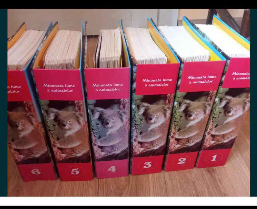 6 closare Minunata lume a animalelor