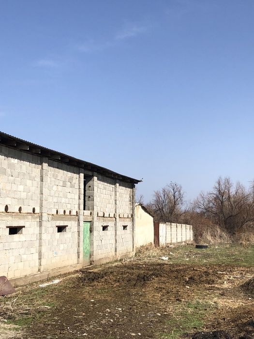 Фазенда Сатылады Откорм Баз