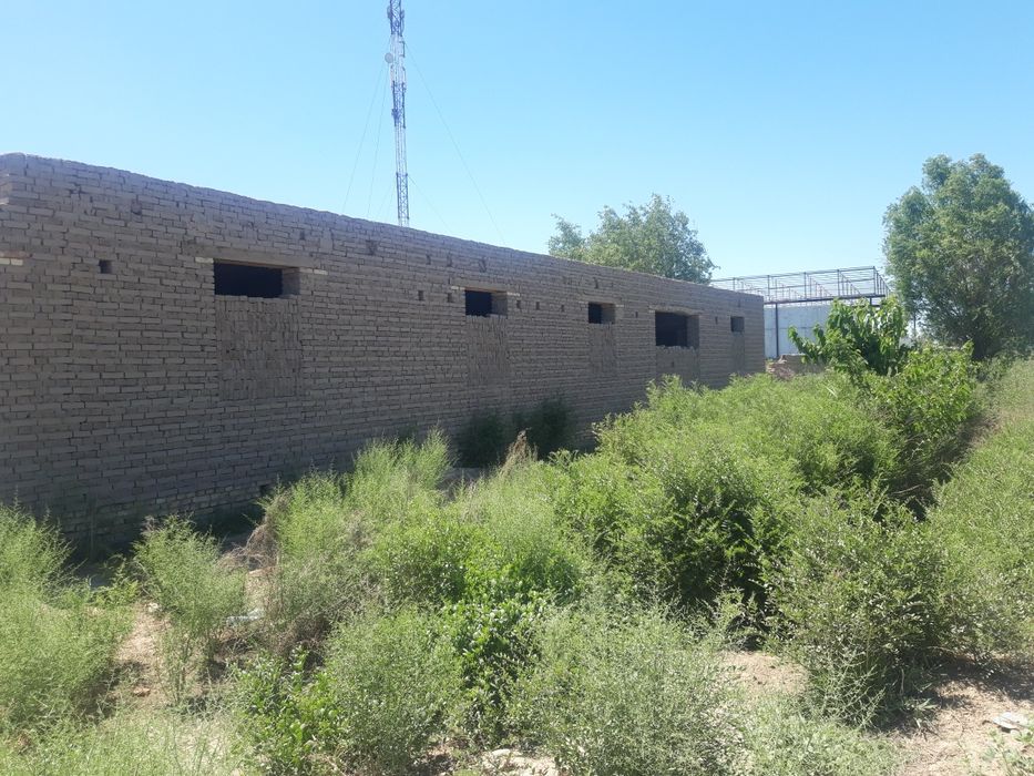 Урганч туманида дурман ж.х жойсатилади