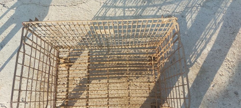 Контейнер для овощей