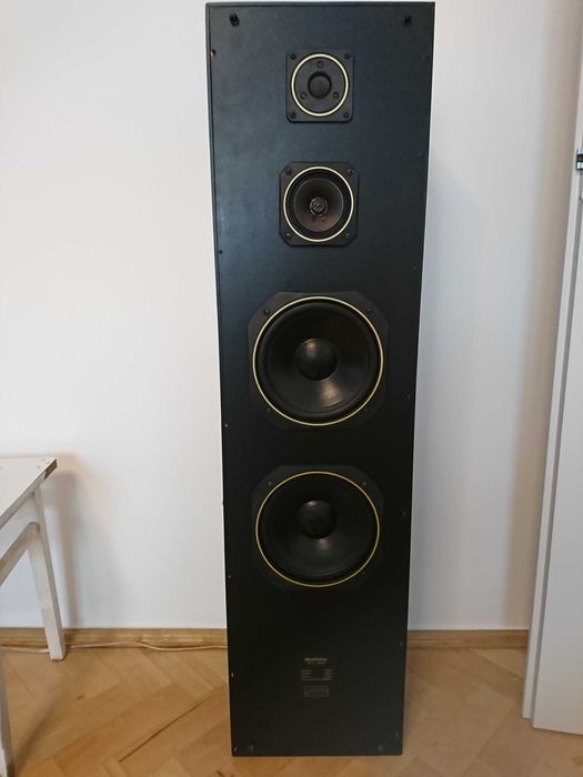 Boxe GoldStar GLS - 1000S