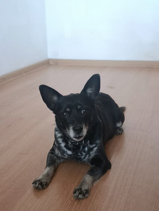 Помогите найти дом