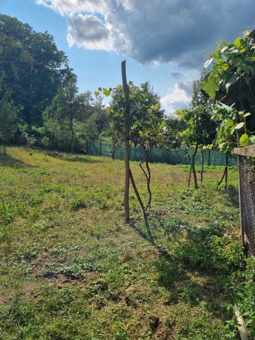 Vand casa plus teren de 25 ari