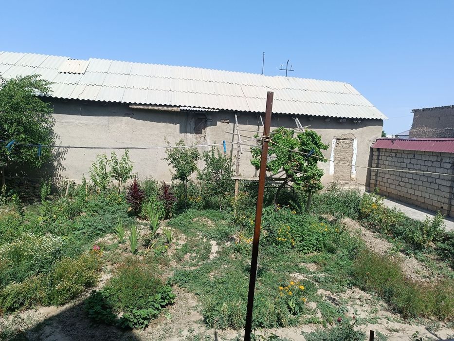 Продается дом с бизнесом