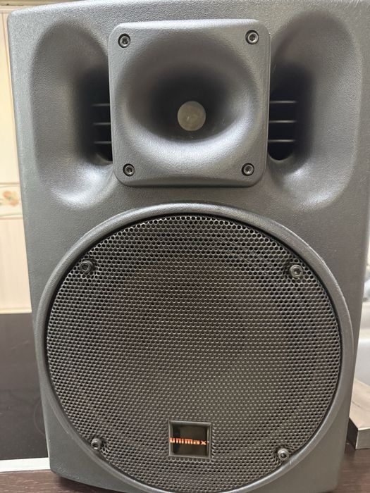 Boxe Uninax  10 toli , 250 w /8 ohmi