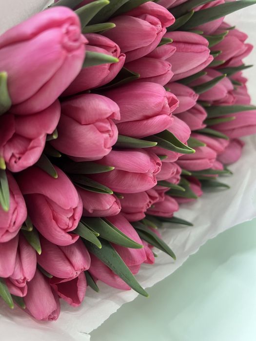 Тюльпаны 580 работаем круглосуточно с 3 марта по 8 марта