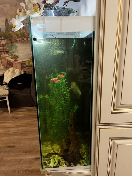 Аквариум высокий