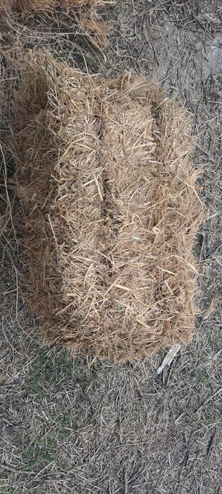 Шоли пресс сотилади