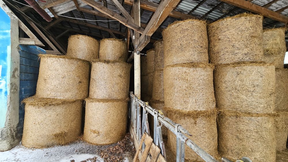 Baloți rotunzi  lucerna