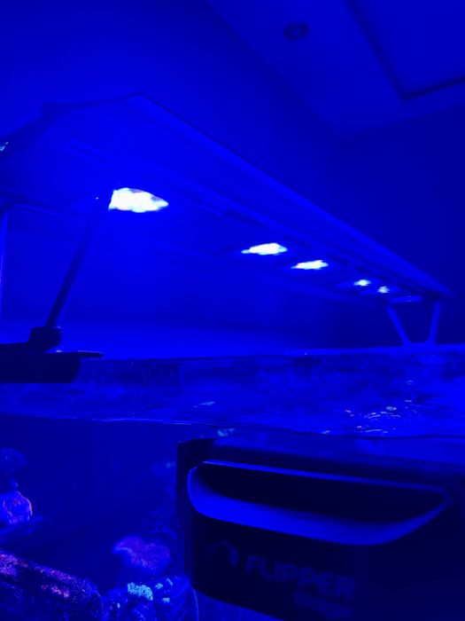 Осветление за аквариум