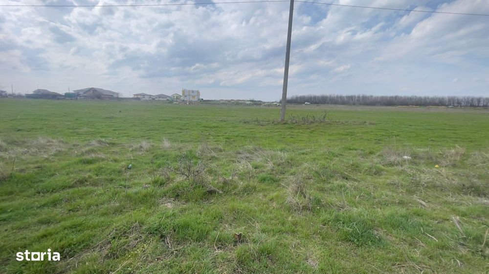 Teren Intravilan 1000 Mp Carcea - Zona Hanul Cu Ponei