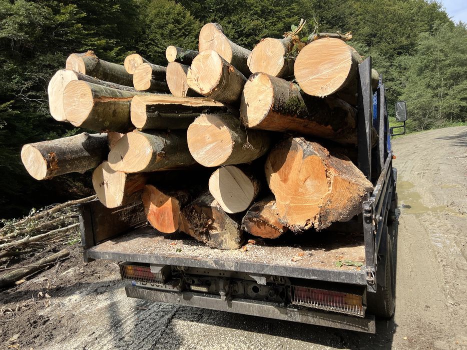 Lemn  LA 3m SAU BOCI