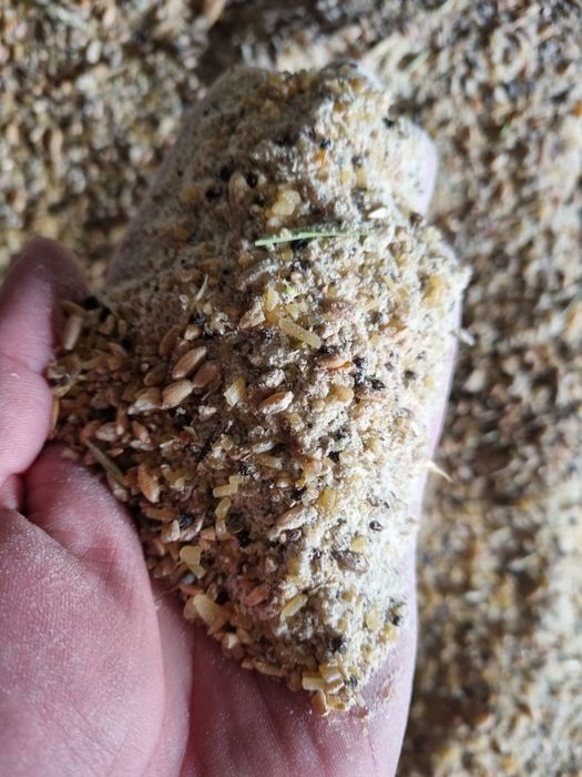 Продам зерноотходы