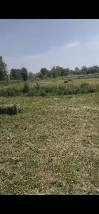 Лючерна сена Уштобе