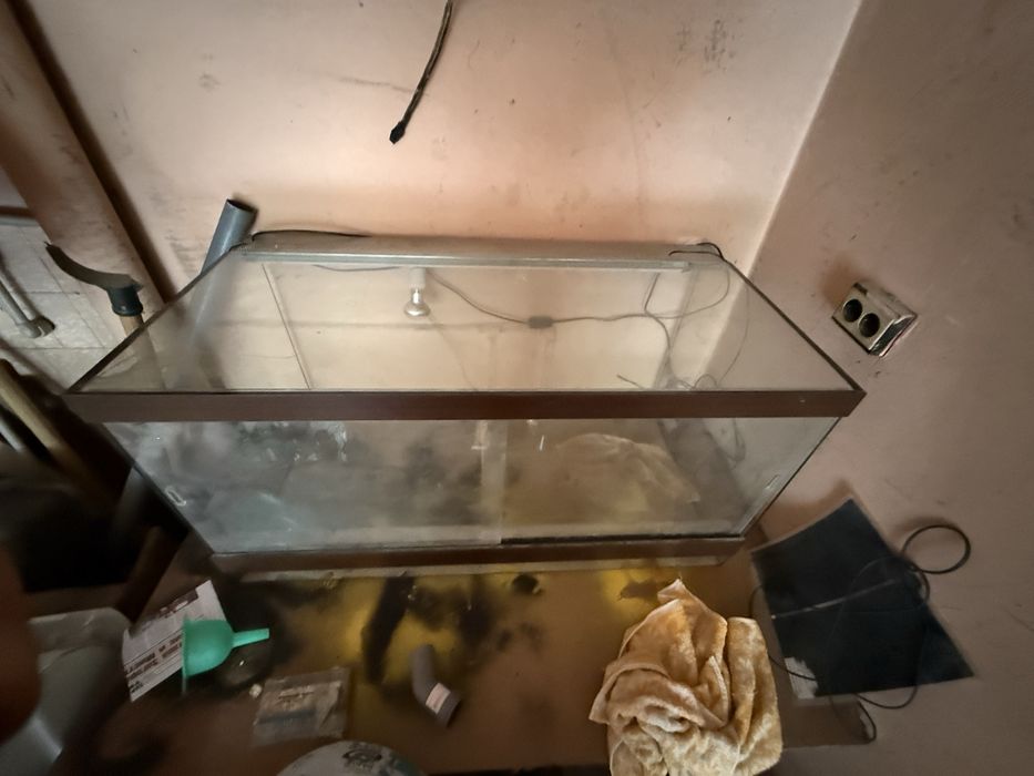 Терариум 100х50х50