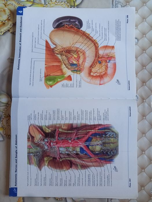 ОРИГИНАЛ! Atlas of human Anatomy Netter