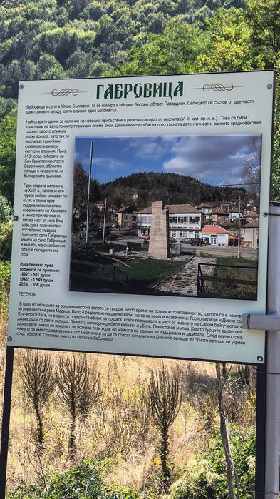 Продава се Къща в с. Габровица, Област Пазарджик - 100 кв.м за 750 €/кв.м - Снимка #5