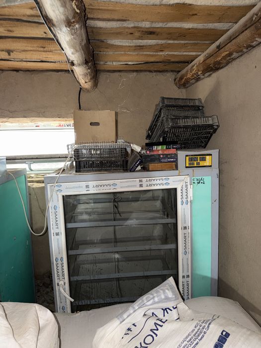 Сетка для перепелки, инкубатор