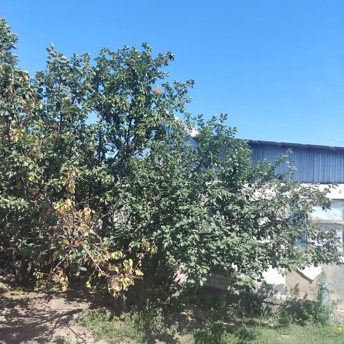 Продам дачу по 312 облгаз