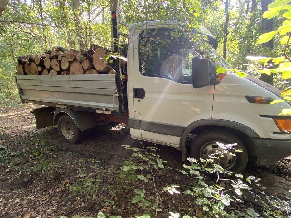 Lemne foc de esență tare