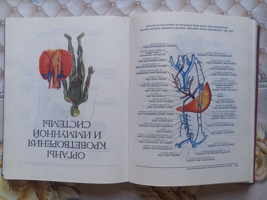 Анатомия человека сотилади