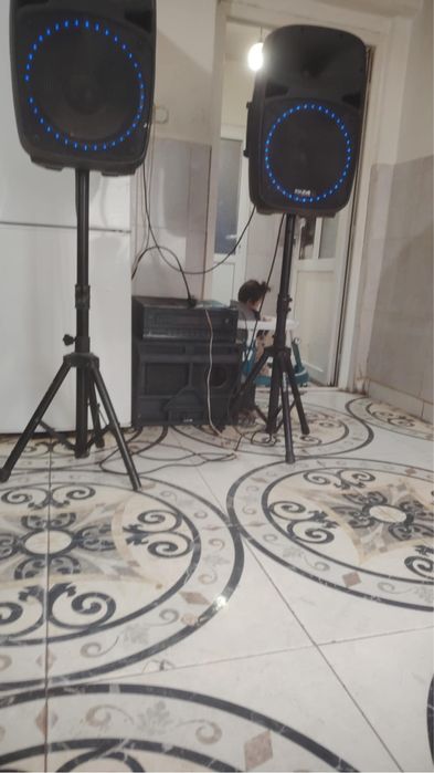 Vand boxa ibița 200w