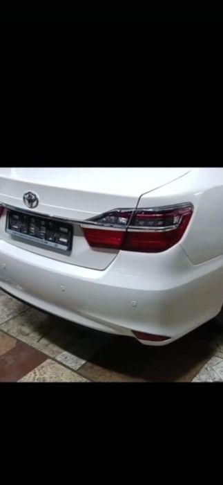 Костоправ маляр не дорого