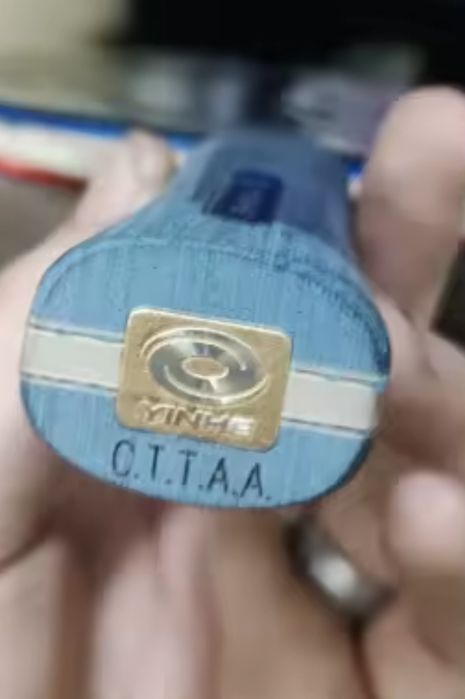 Timo Boll ALC бюджетен вариант, Yinhe дърво за тенис на маса