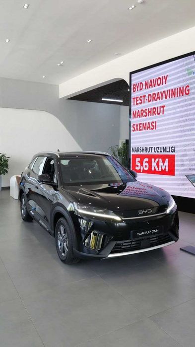 Yuan Up DM-i 110KM Flagship