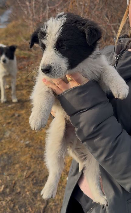 Мальчики девочки ишут дом