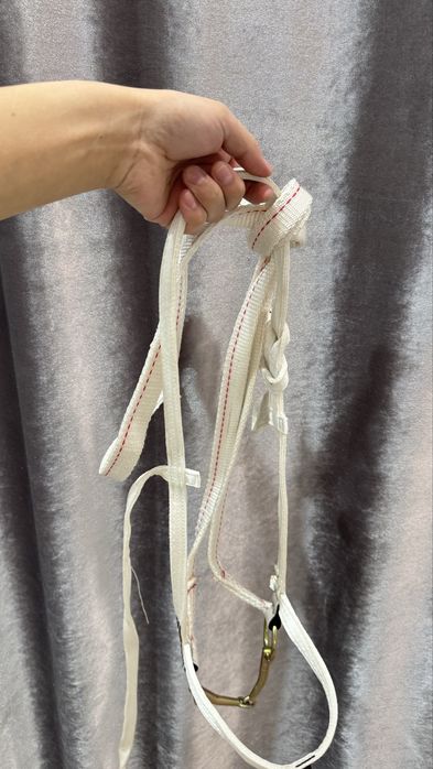 Тайға арналған жүген