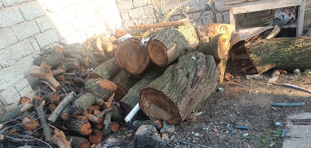 Пеньки, двова, ветки. (Урюк). Новый