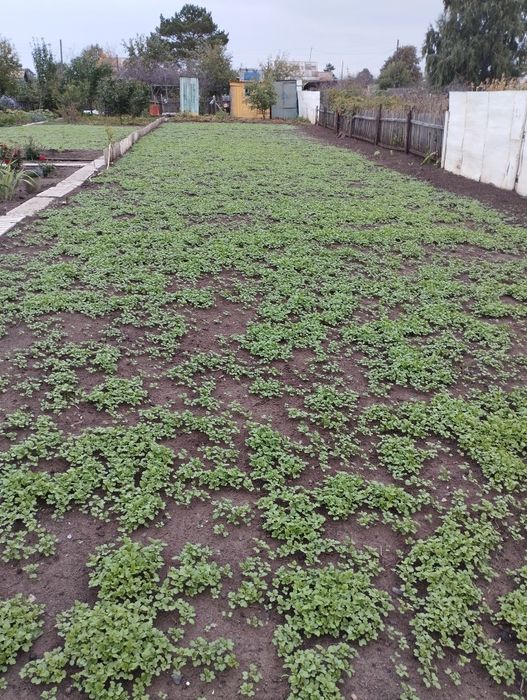 Продам дачу сады 1,16/а