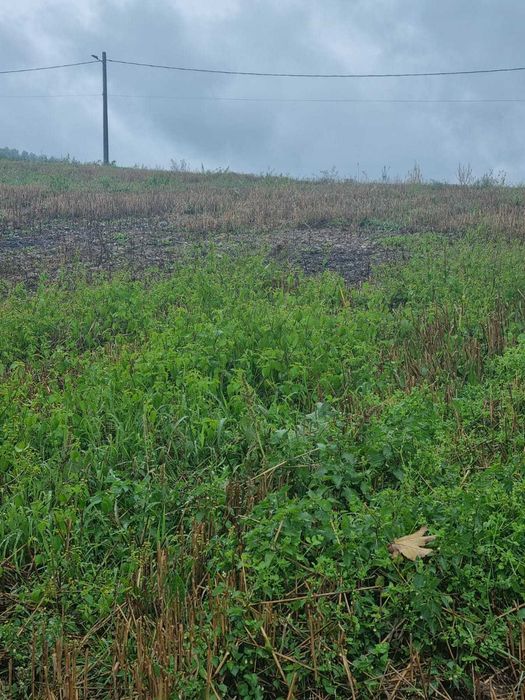 Vând teren intravilan